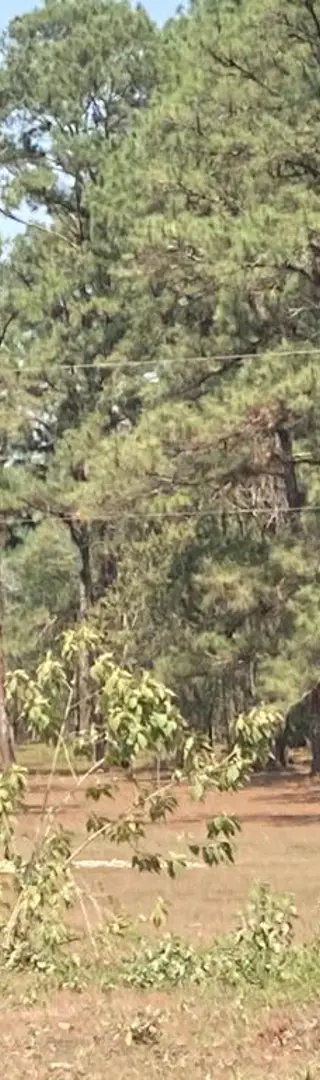 Abenteuerliches Reiten